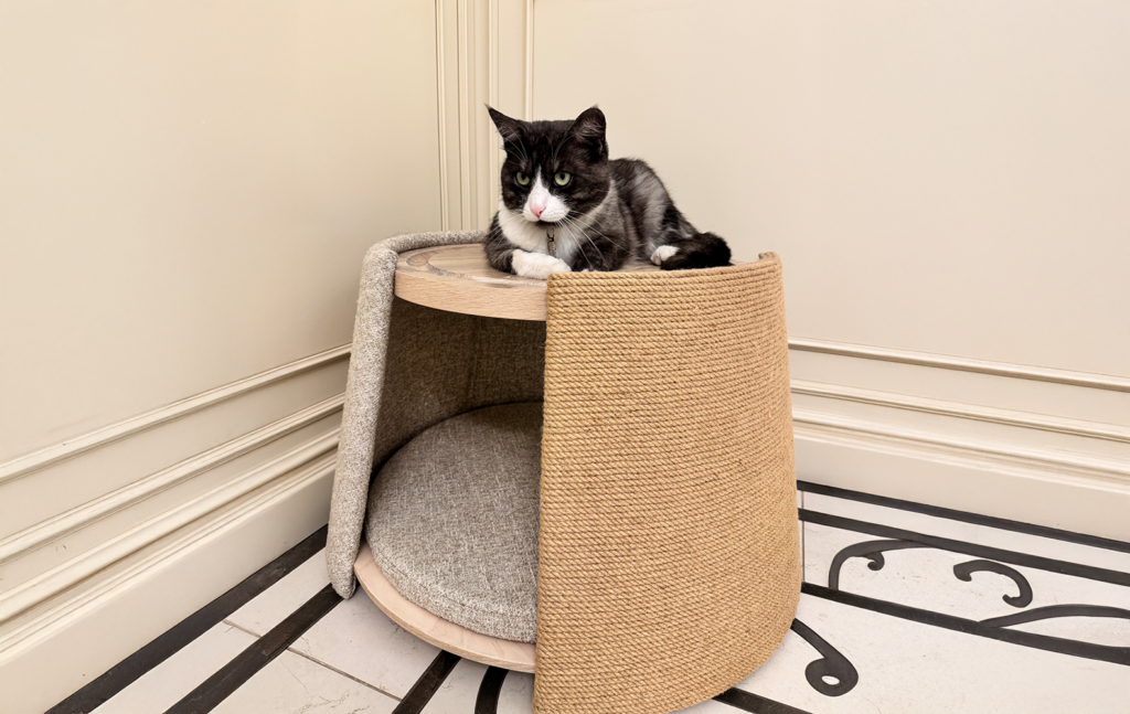 Aura Table – coffee table, bedside table, pet house ― photo 1